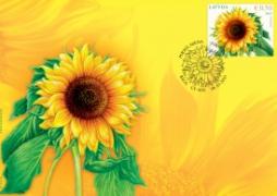 Latvijas Pasts supplements series Flowers by releasing new stamp Sunflower 