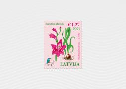 The most recent stamp released by Latvijas Pasts features the shingled gladiolus, a rare and beautiful meadow flower 