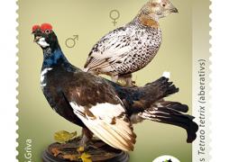 Latvijas Pasts papildina pastmarku sēriju Latvijas Dabas muzeja unikālie eksponāti un izdod jaunu pastmarku Aberatīvie putni 