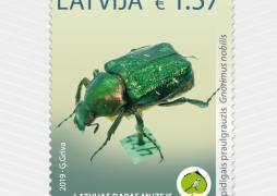 Latvijas Dabas muzeja unikālo eksponātu pastmarka šogad veltīta retai vabolei – spīdīgajam praulgrauzim