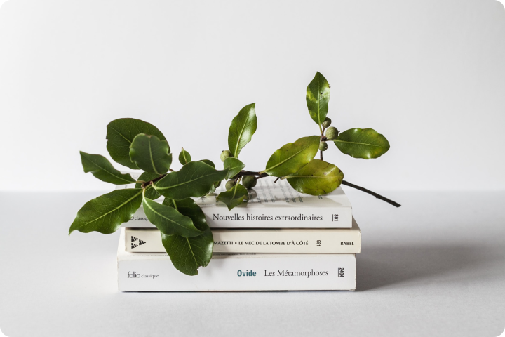 <p>Image courtesy of Laura Davidson via Unsplash</p>