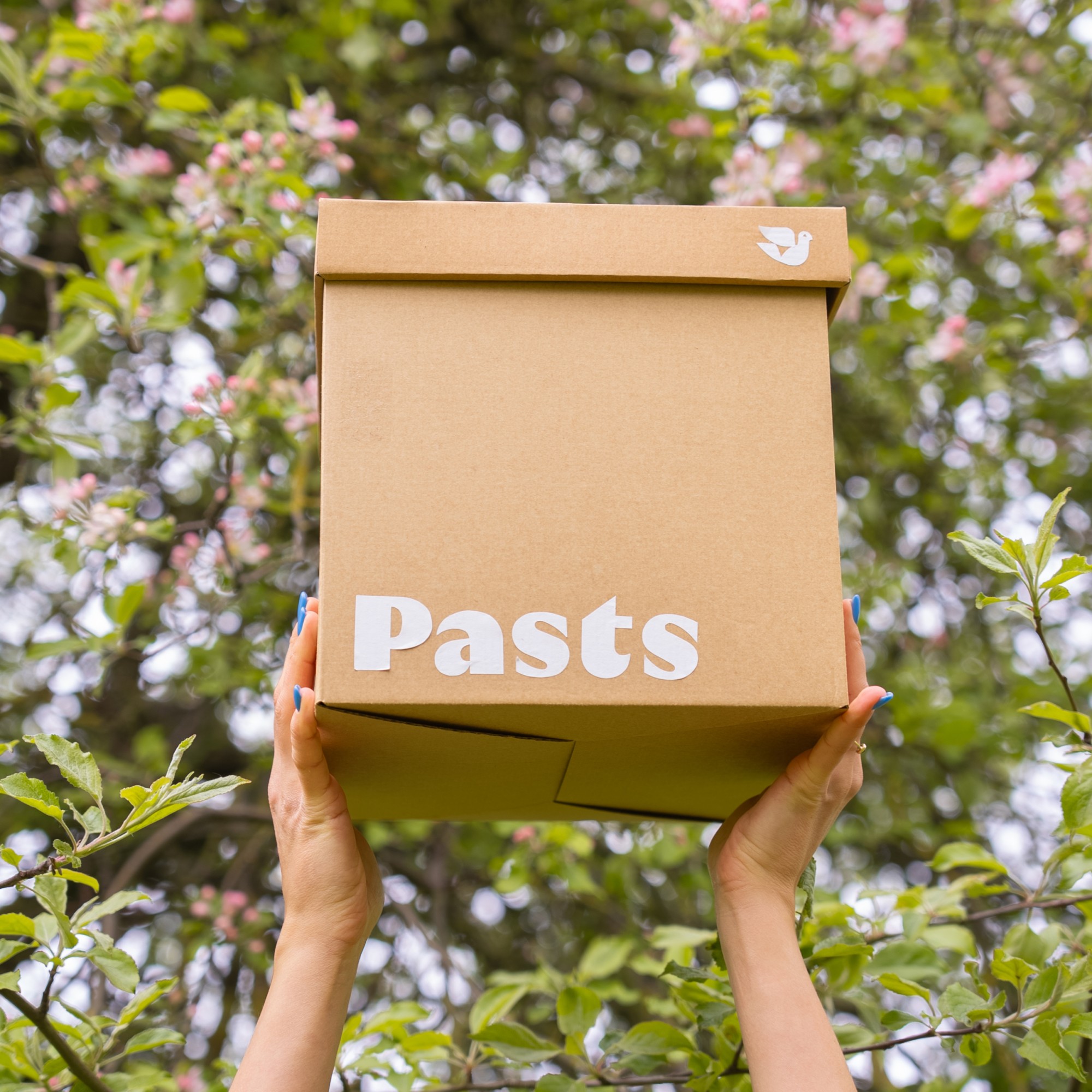 jaunaiszimols-33 Pasts box held up