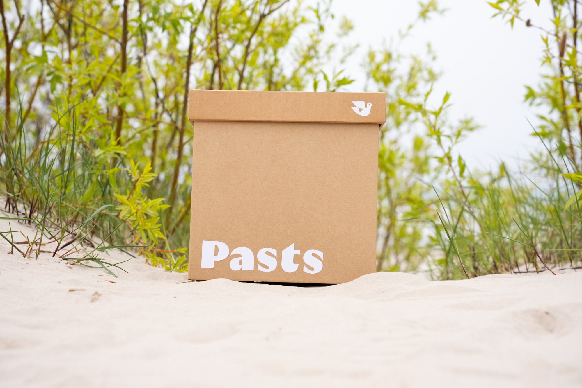 jaunaiszimols-41 Kaste pludmalē