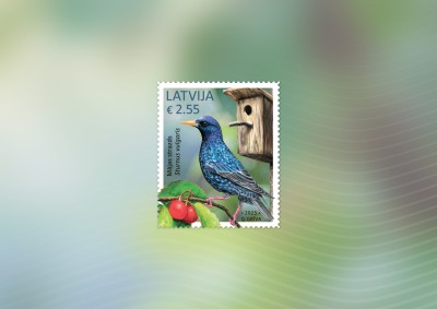 Pastmarka_Majas strazds