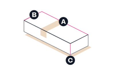 Sikpaka_Valstis_Large