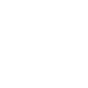 NAP-2027